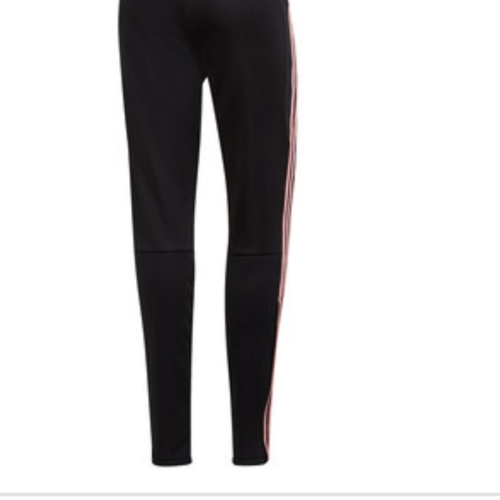 Sweat pants
